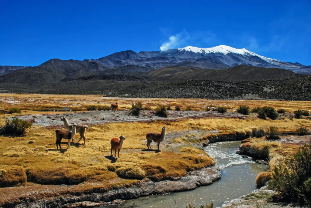 bolivie destination ou partir en mai