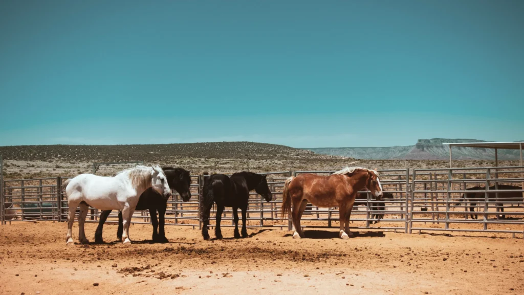 route 66 ranch arizona