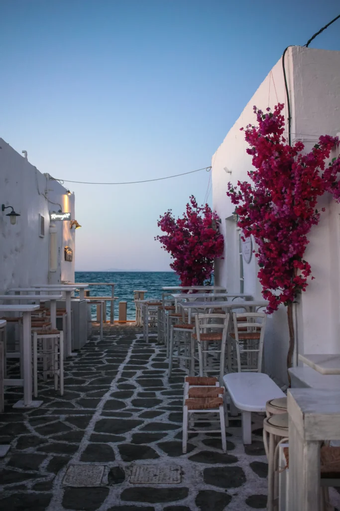 rue naoussa fleur paros cyclades grece